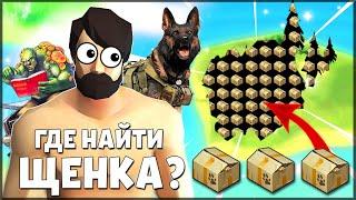 НА ЭТОЙ ЛОКАЦИИ ЕСТЬ 100% ЩЕНКИ! ГДЕ НАЙТИ ЩЕНКОВ НОВИЧКАМ? – Last Day on Earth: Survival