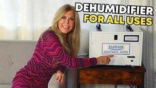 Best Dehumidifier 2023 |  How to Get Rid of Mold and more in Home Basements, Storage, Office