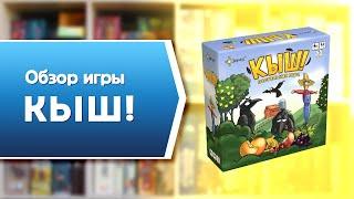 КЫШ! Обзор и правила настольной игры от Эврикус