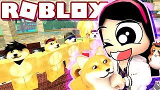 All the WONDERS That is of DOGE - Roblox Roleplay Doge Research Tycoon - DOLLASTIC PLAYS!