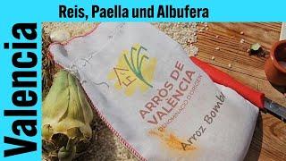 Reis, Paella und die Natur in Albufera /Valencia