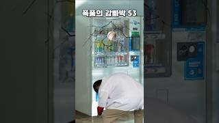 폭풍의 강빠박 빠박이의 일상..!