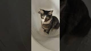 Lusya,  do you want wash?