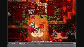 Tibia-Spider Ot (New Respawn)