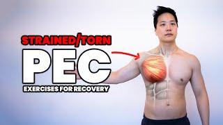 How to fix Pec Strains - chest strain / pectoralis minor / pectoralis major strengthening exercises