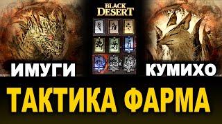 ТАКТИКА: ИМУГИ и КУМИХО. Фарм боссов в BDO (Black Desert)