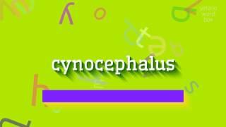 CYNOCEPHALUS – WIE WIRD ES AUSgesprochen? (CYNOCEPHALUS - HOW TO PRONOUNCE IT?)