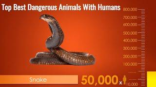 Top Best Dangerous Animals With Humans | TopBlog