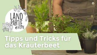 Tipps & Tricks zum Kräuteranbau - Alles rund ums Kräuterbeet I Landpartie@Home