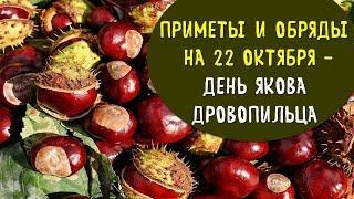 народные приметы | обряды | заговоры на 22 октября день якова дровопильца