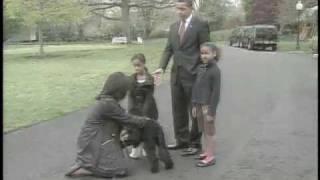 President Obama and His Family Have Welcomed a New Addition to the White House - Their Dog, Bo.