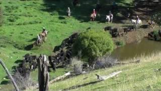 Leconfield 5-Day Jackeroo/Jillaroo School