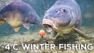 Underwater Carp Fishing In A Frozen Lake (-4°C)