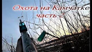 Часть 2.  Охота на Камчатке 2021! "Караулим гуся"