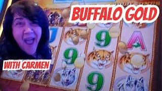 Buffalo Gold Live Play with Carmen