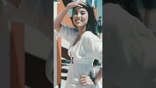 Дмитрий Сокол #shorts #viral