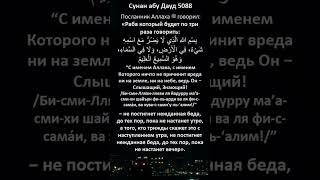 Кто будет это говорить #единобожие #коран #сунна #таухид #toislam #ислам