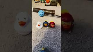 POV you’re trying to teach #funnymemes #ducker #duck #ducky #memefunny ￼