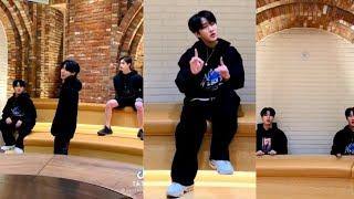 Stray Kids (스트레이 키즈) "Going Dumb" TikTok Videos