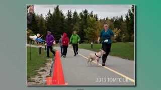 TOMTC 2013 Ultra Marathon