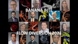 2023 10 30 Banana Bite Advanced Flow Diversion