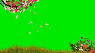 Falling Tree Leaves Green Screen Template Video Background | Tree Leaves Green Screen Background