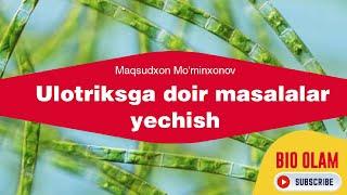 Ulotriksga doir masalalar ishlash | @Maqsudxon_Mominxonov