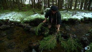 DIY Survival: A Simple Way to Catch Fish | Dual Survival