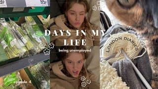 days in my life: living my best stay at home life (cooking, knitting and more)