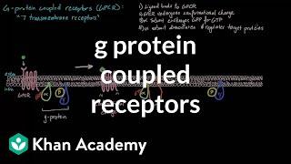 G Protein Coupled Receptors | Nervous system physiology | NCLEX-RN | Khan Academy