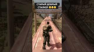 Старый добрый сталкер #shrots #зовприпяти #теньчернобыля #чистоенебо #stalker #shortvideo #сталкер