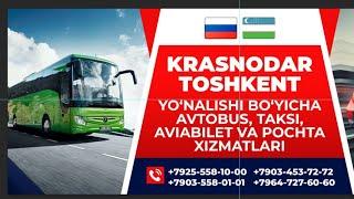 КРАСНОДАР ТАШКЕНТ АВТОБУС ХИЗМАТЛАРИ 22-ОКТЯБР #краснодар #krasnodar #rek #news #news #travel #uzb