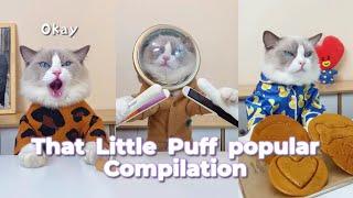 The most popular collection1 | That Little Puff Compilation