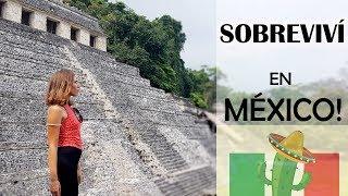 ¡Viajé a México y SOBREVIVÍ!