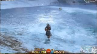 GW2 Ranger Pet Locations - Polar Bear