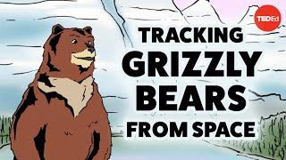 Tracking grizzly bears from space - David Laskin