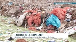 COD ROSU DE GUNOAIE  TĂRTĂŞEŞTI,