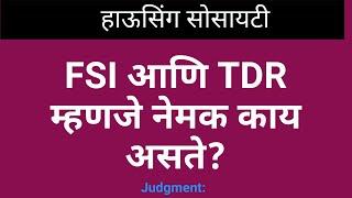 24/055: What is FSI & TDR.