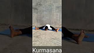Kurmasana | Hip Opening Yoga Poses | Advanced Postures | Yoga and Fitness With Shiva #shorts