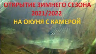 Открытие зимнего сезона 2021/22 на Ладожском озере. Изучаем подводный мир с камерой FocusFish.