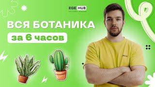 ВСЯ БОТАНИКА ЗА 6 ЧАСОВ ДЛЯ ЕГЭ 2024 | EGE hub