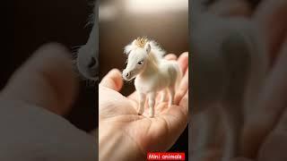 Cute Palm Sized Mini Animals #deer #horse #monkey #shorts #ytshorts