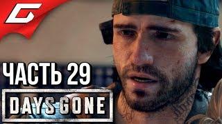 DAYS GONE (Жизнь После)  Прохождение #29  ПРИЧИНЫ ЭПИДЕМИИ