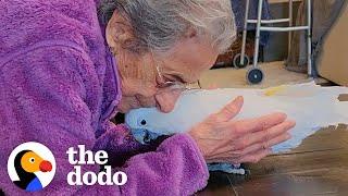 Cockatoo And 102-Year-Old Grandma Become Best Friends  | The Dodo