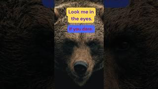 SEE THE TRUTH - Straight talk️ #shorts #viralshorts