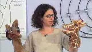 Parenting with Nonviolent Communication (NVC)