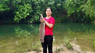 Single Mom Catches Stream Fish to Sell, Then Shares a Simple Fish Meal with Her Daughter and Grandma