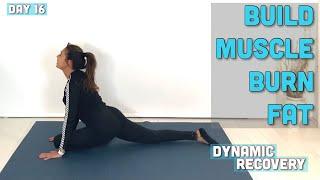 DYNAMIC RECOVERY | BUILD MUSCLE BURN FAT | DAY 16