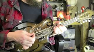 Electric Mandolin Demo with DIY stompbox - Darkwood Mandolin & String Co.