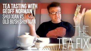 Tea Tasting with Geoff: Shui Xian vs. Old Bush Shui Xian | The Tea Fix